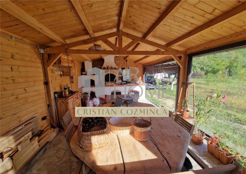 Teren cu constructii Cosmina de Sus - Foisor, baie, cabanuta - 2