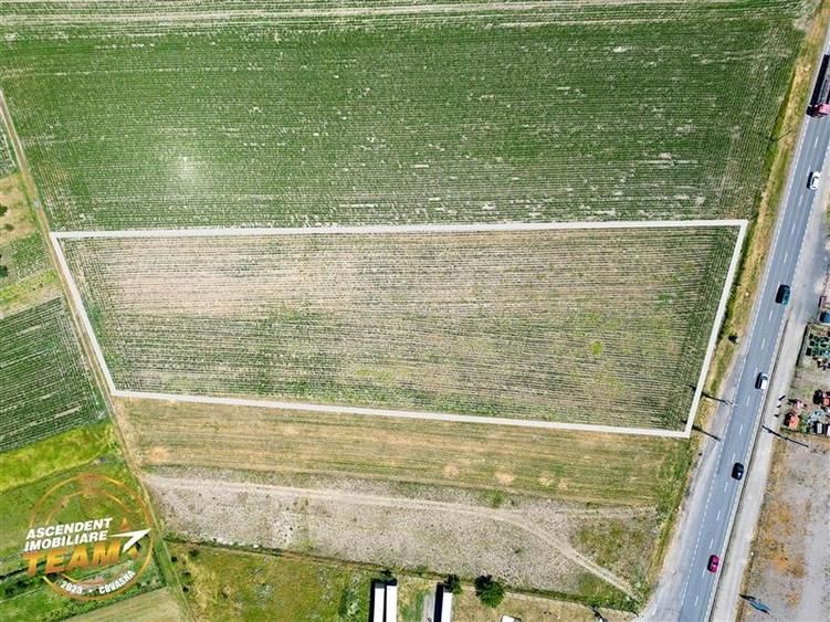 8.400mp, la DN12, cu Certificat Urbanism, teren intravilan, Chichis, Covasna. - 4