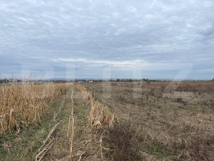 Teren extravilan de 2539 mp in Dudovicesti - 2
