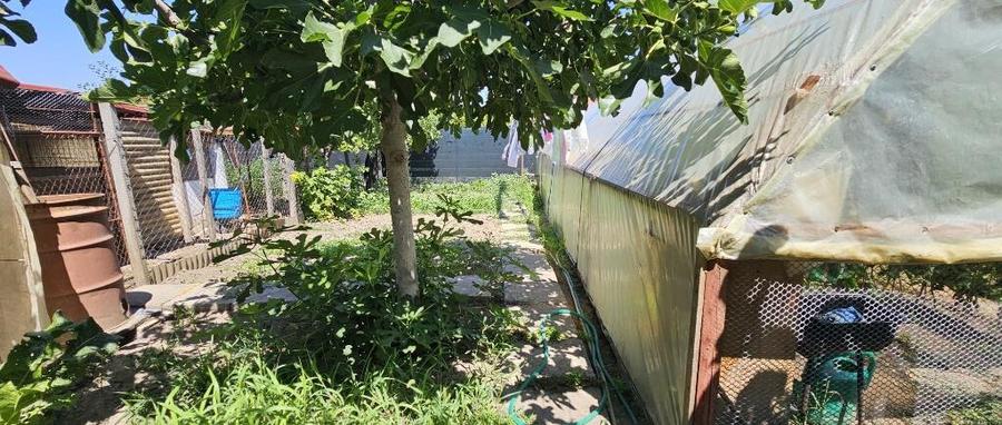 Casa la sol /Ovidiu / garaj - 7