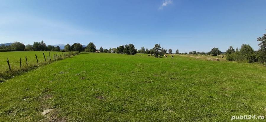 Teren 9350 mp Bran Livada, Extravilan - 1