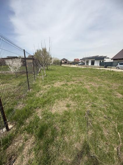 Teren Domnesti 840mp - 5