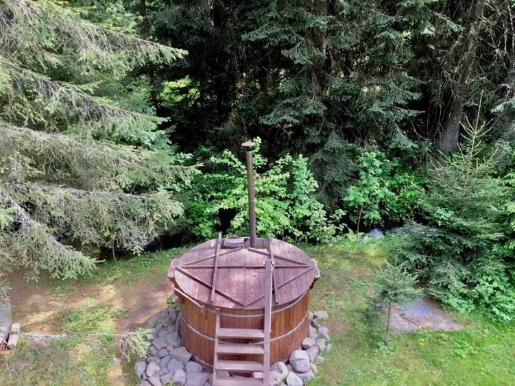 Casa din grinzi pe marginea paraului Borzont - 6