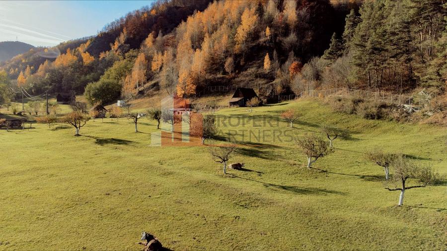 Teren Construcții intravilan de 1200 mp, în Moieciu