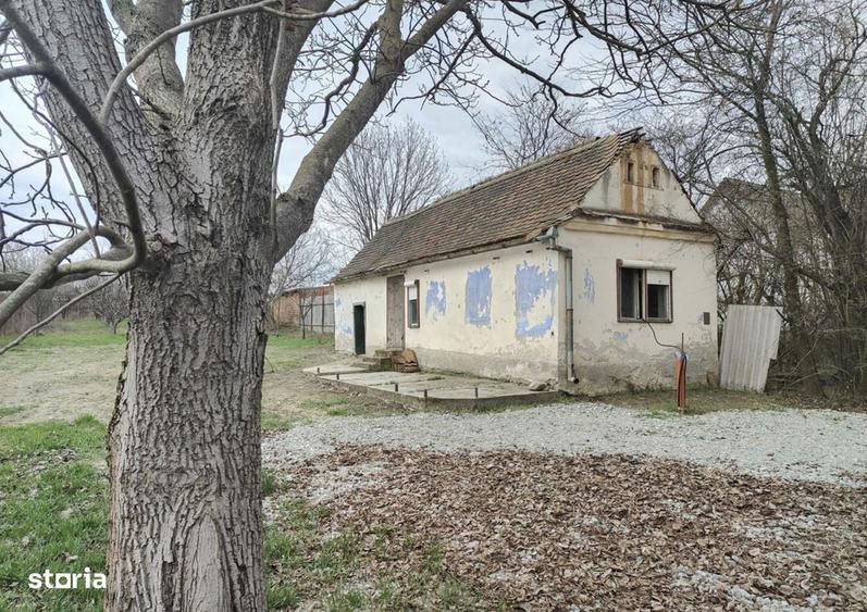 Casa individuala, teren 1355mp si livada de meri zona centrala Sacel - 4