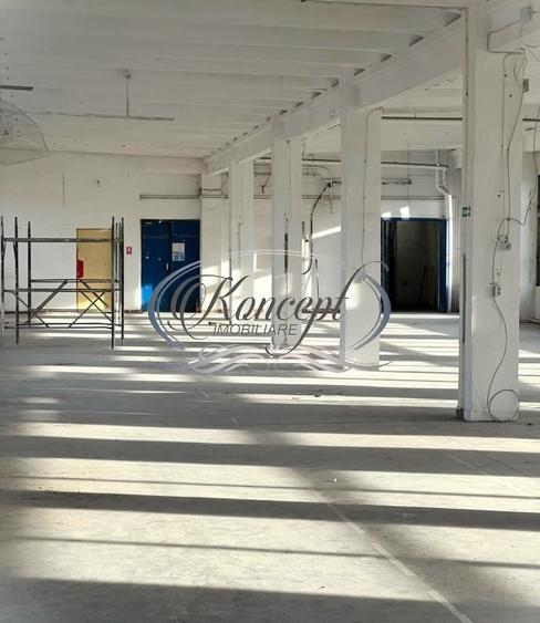 Hala depozitare/productie in Piata 1 Mai - 5