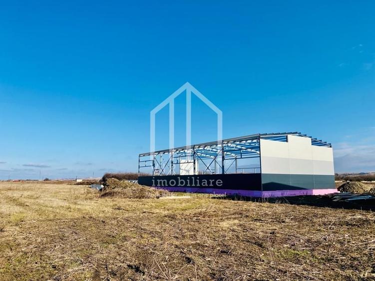 Hala de vanzare in zona industriala de Vest- Ocna Sibiului- utilitati - 5