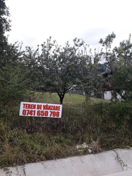 Teren intravilan Varatec, Neamt - 4