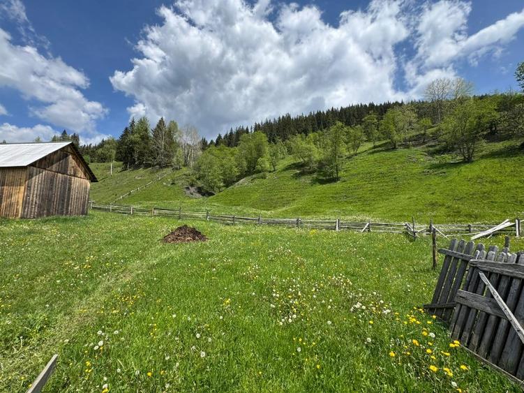 Vând proprietate 3,5 ha în Breaza de Sus, jud. Suceava, pe malul râului Moldova - 6