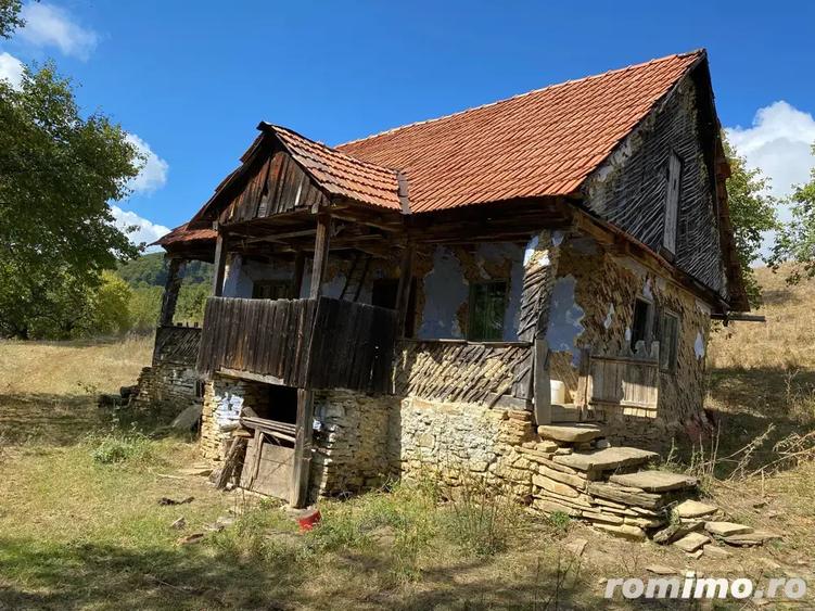Vand Casa Tradi?ionala cu ?ura - 3