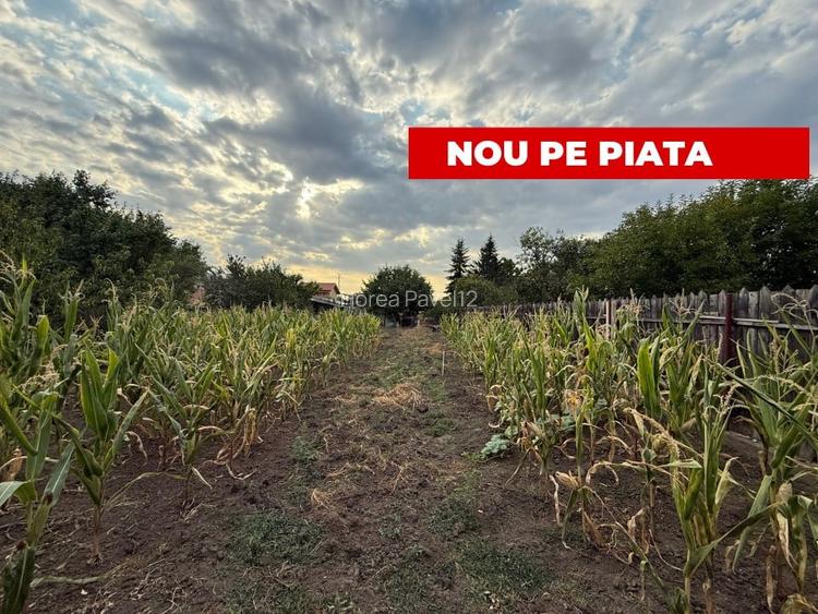 Casa cu trei camere avand 90mp suprafata utila, 1.200 mp teren, in zona Mehala Casa cu trei camere avand 90mp suprafata utila, 1.200 mp teren, in zona Mehala
