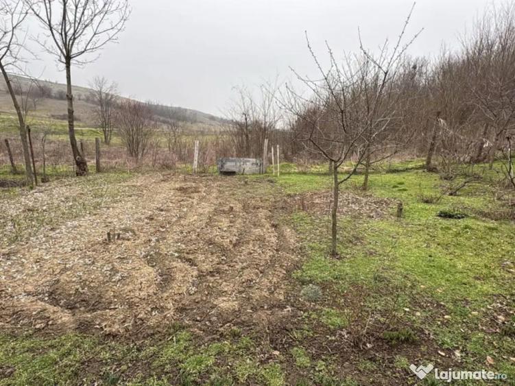 Teren 2.038 mp + Casa 50 mp de vanzare Sat Luncsoru, C - 17