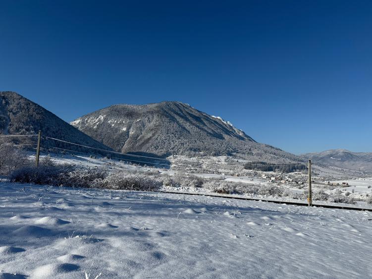 Teren intravilan 500 sau 1000 mp Bran-Tohanita la dum asfaltat - 23