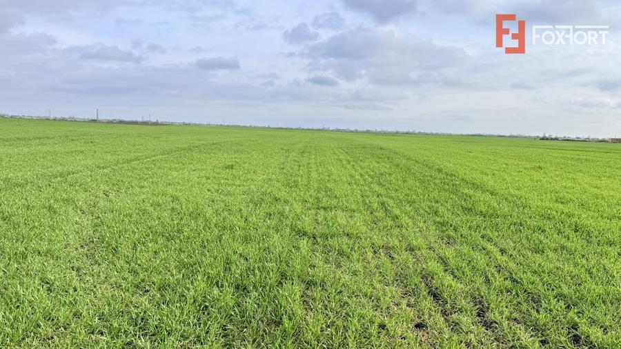 Parcela de teren intravilan de vanzare, 502 mp - Sacalaz - 5