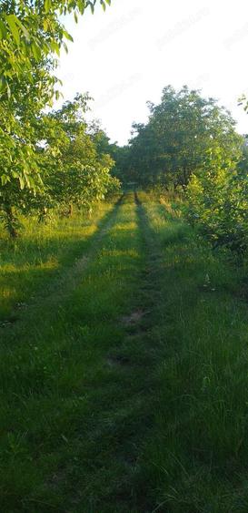 Vand casa cu teren intravilan 7347 mp in com. Stolnicieni Prajescu-Iasi - 5