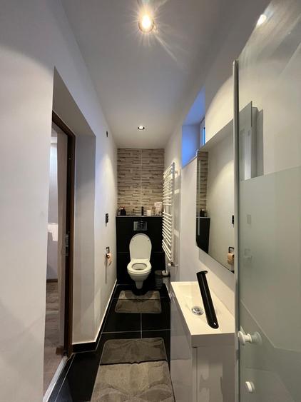 Casă 5 camere, 7700 mp teren ,Comuna Ineu. - 12