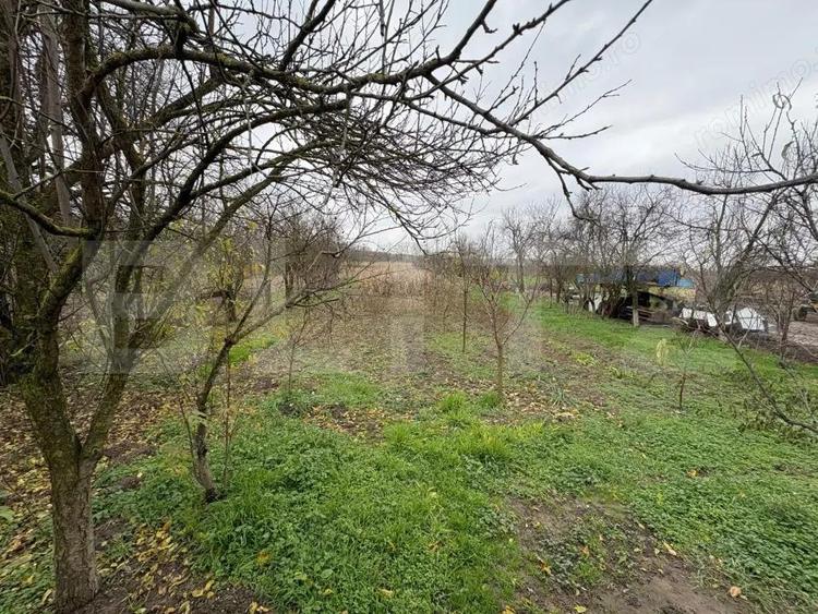 Casa deosebita cu teren generos Bercu - 7