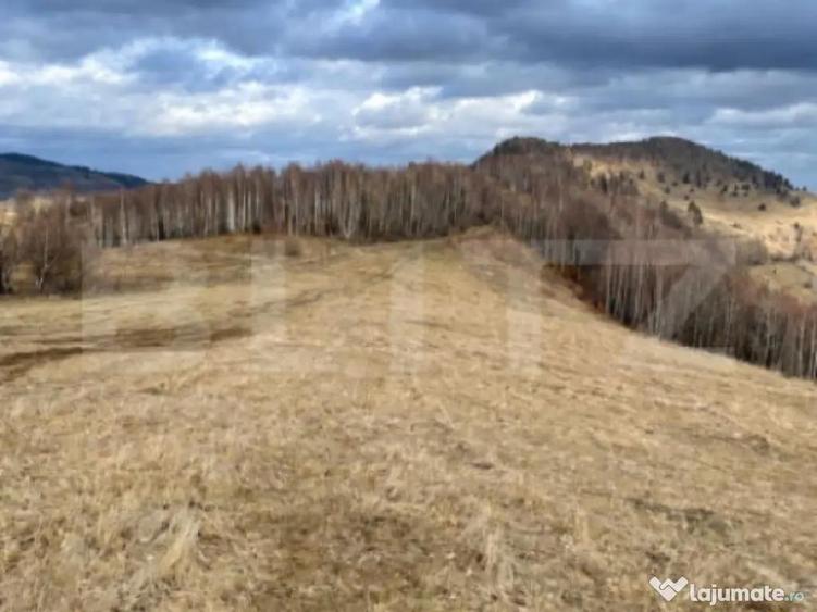 Teren Construibil - Muntele Baisorii , 5000mp - cu posibilit - 3