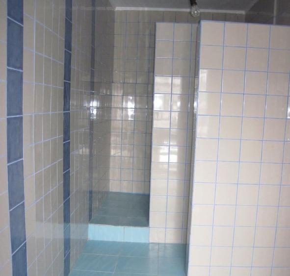 2 Spatii firma, productie, birouri(170+120mp) | Giulesti | curte 500 mp - 7