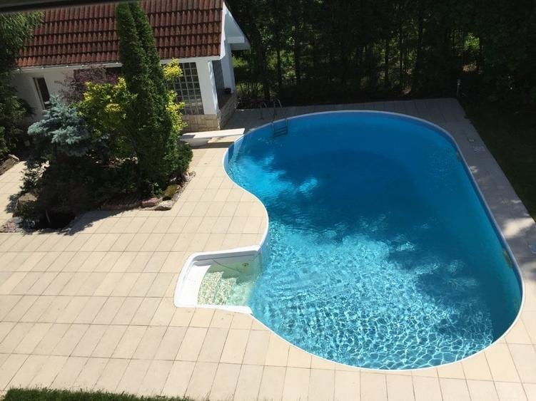 Iancu Nicolae: Vila in Iancu Nicolae, cu piscina proprie si curte de 1200 mp ! - 1