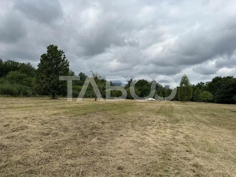 Teren intravilan 8000 mp cu anexa gospodareasca in Vistisoara - 4