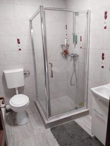 Vanzare proprietate cu doua case si intrari separate curte Giulesti - 11