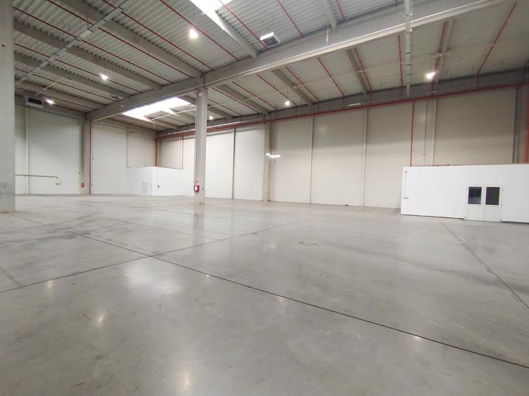 Hala productie depozitare sau logistica - 7