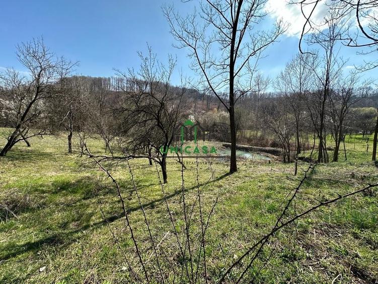 Teren Govora / 8131mp - 7