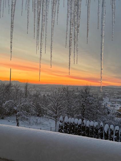 1258 mp, Strada Viilor, Baia Mare, 2 parcele alaturate, 125 000 - 5