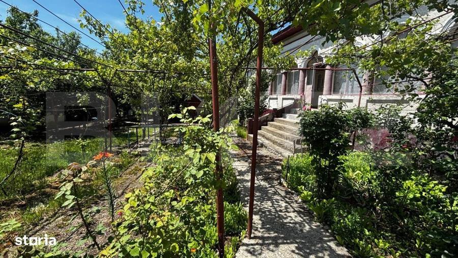 Proprietate cu 2 case, 3.345 mp teren, Balota de Jos, comuna Murgasi - 3