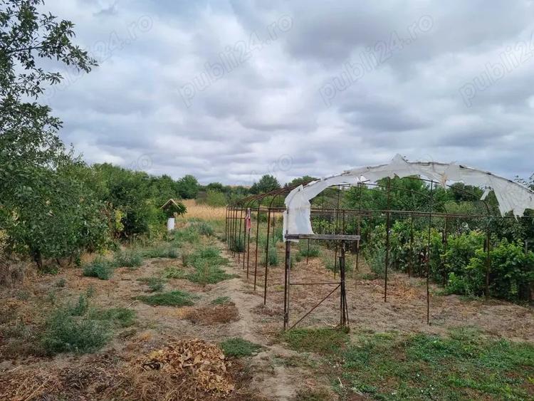 Casa cu curte. Canalizare si baie - 1