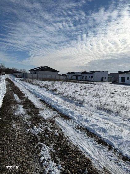 vand teren in domnesti - 4