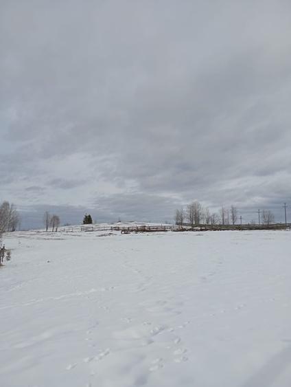 Vand teren intravilan - 3