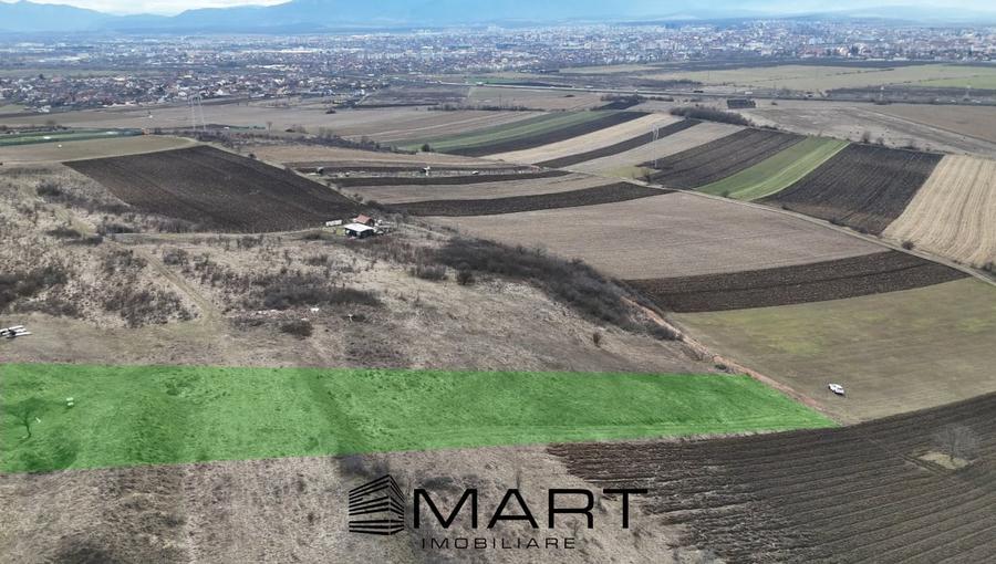 Teren extravilan 4500mp cu autorizatie adapost agrigol in Gusterita - 1