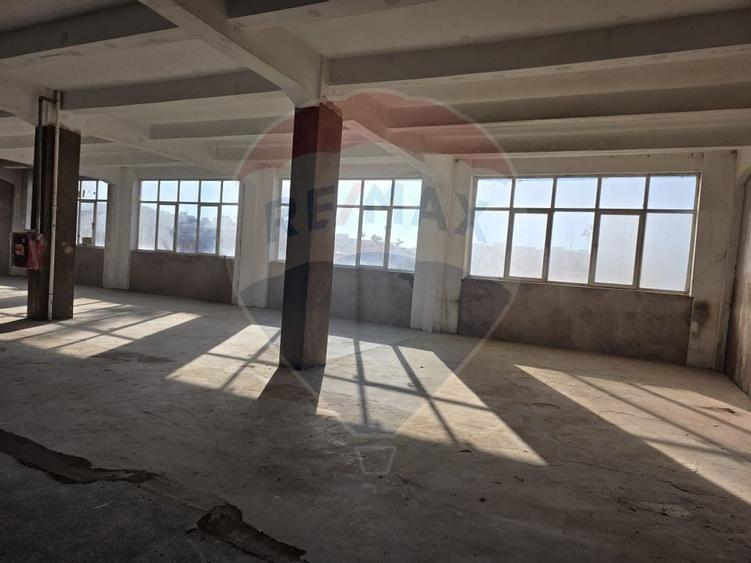 Spatii 200/430 mp lift marfa Baicului platforma industriala - 2