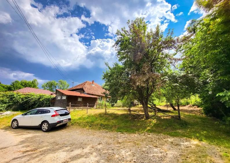 Teren 11700 mp in Valea Lunga, o oaza de lini?te, aer curat, verdea?a - 2
