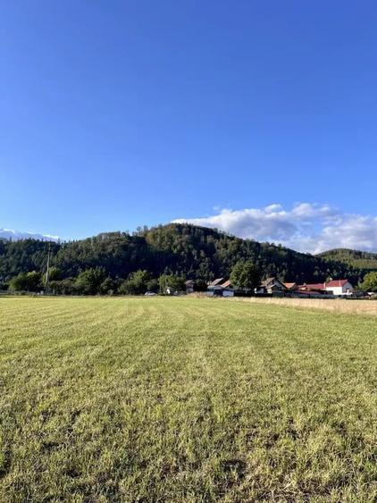 Teren 650 mp Zarnesti - 1