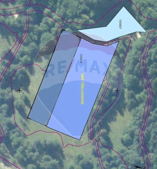 Teren 6000 mp, Vama Buzaului - vedere catre Ciuca? - 2