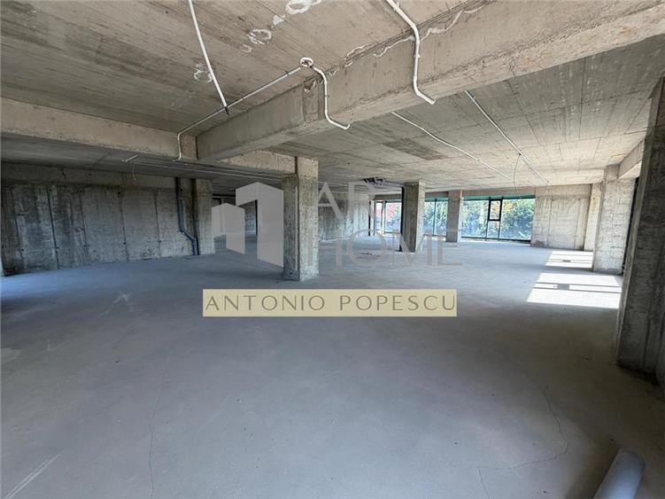 Spațiu comercial, de 480 mp, în Albert