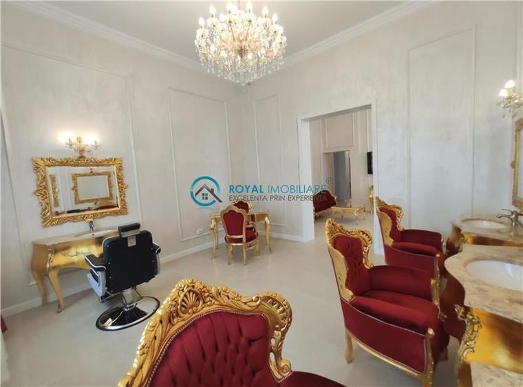 Royal Imobiliare -vanzari vile zona Ultracentral - 8