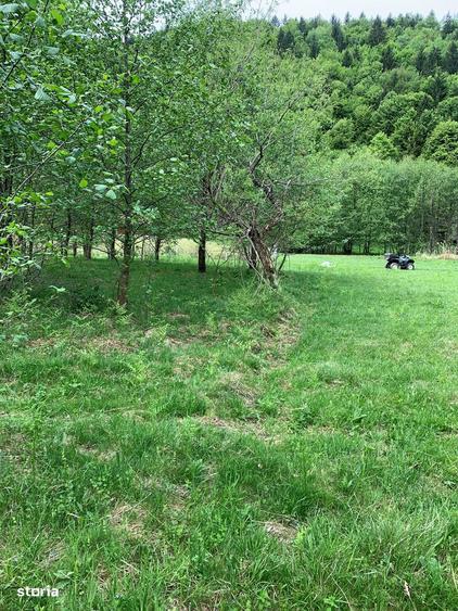 Teren rural de vanzare - electricitate ?i apa - 3