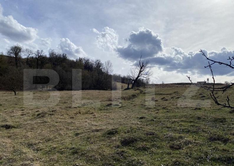 Teren extravilan in suprafata de 7500 mp la poalele Mesesulu - 4