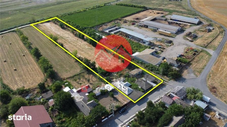 Casă cu 7 camere cu Teren 5000 Mp în Mihail Kogălniceanu