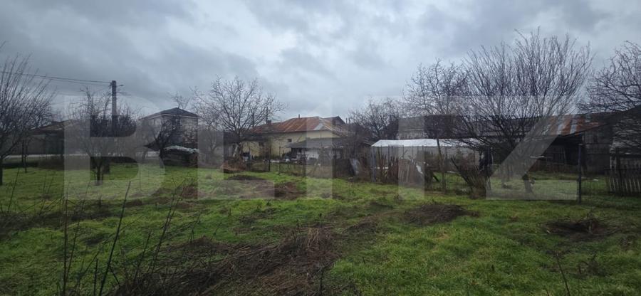 Teren intravilan 1.869 mp, front 80 metri, zona Carcea - Stadion - 4