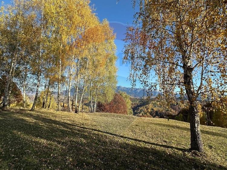 Oportunitate de investiție ! Teren de vis în Pestera - 125.370 mp - 34