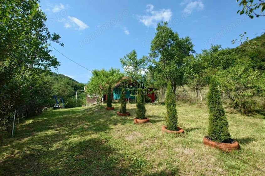 Cabana, anexe si 2000 mp teren intravilan in Taratel, Brad - 8