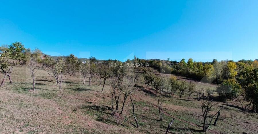 Teren extravilan cu priveli?te superba , livada ?i poten?