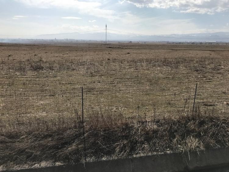 Teren de vanzare 20.000 mp pretabil benzinarie centura, direct de la proprietar! - 6