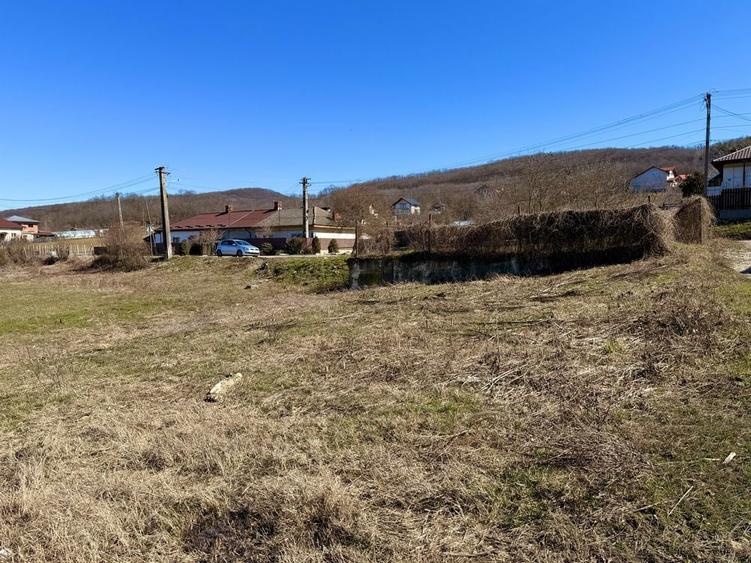 Teren de vanzare intravilan pentru casa 720 mp - 6