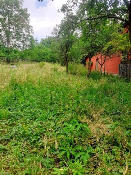 Casă individuală cu 2 camere cu Teren 991 Mp în Soveja